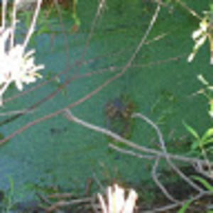 Meet your Posher, Jon